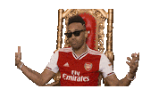 Premier League Football Sticker by Arsenal