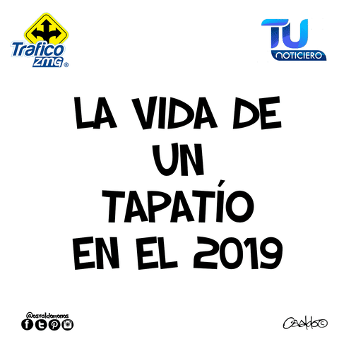 GIF by traficozmg