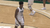 Clap Clapping GIF by William & Mary Tribe Athletics