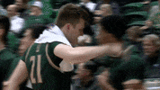 Bench Gotribe GIF by William & Mary Tribe Athletics
