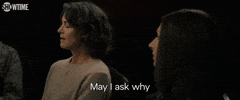 Season 2 GIF by SHOWTIME