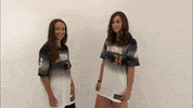 thealliancefastpitch softball fastpitch the alliance fastpitch alliance fastpitch GIF
