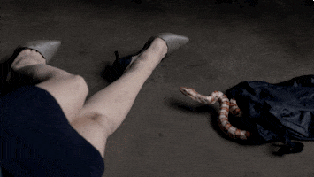 season 3 poison GIF by Showtime