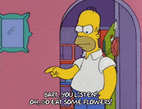 homer simpson GIF