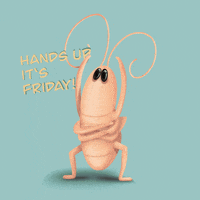 Hands Up Shrimp GIF
