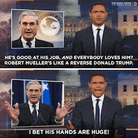 GIF by The Daily Show with Trevor Noah