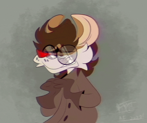 dohnut_A giphyupload GIF