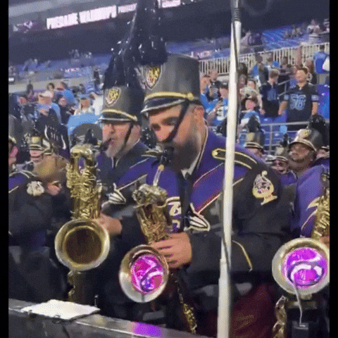 Baltimore Ravens Nfl GIF by Respective