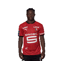 Football Goal Sticker by Stade Rennais F.C.