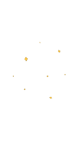Loop Star Sticker