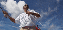 south carolina GIF