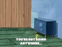 season 4 GIF by SpongeBob SquarePants