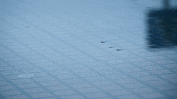 Art Rain GIF by 7H cooperativa cultural