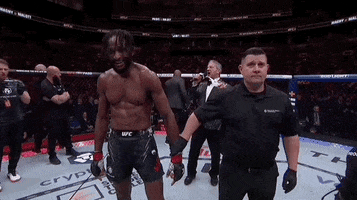 Mixed Martial Arts Sport GIF by UFC