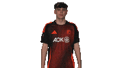 Oh No Vbl Sticker by Bundesliga
