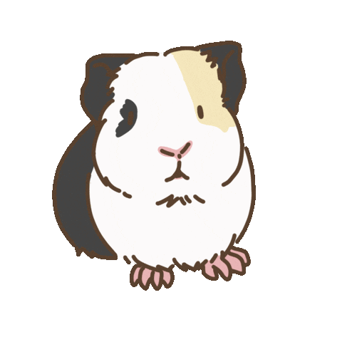 Licht Guineapig Sticker