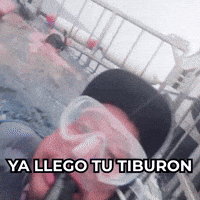 GIF by No Hay Sin Suerte