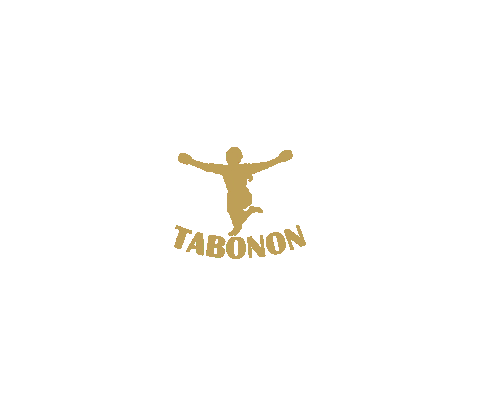 TabononKickboksen giphyupload logo animated tabonon Sticker