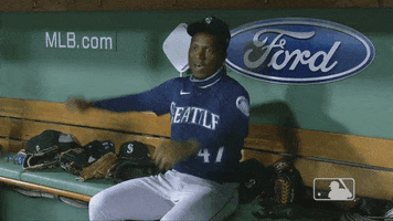 Baseball Celebrate GIF by MLB