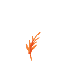 Plant Grow Sticker