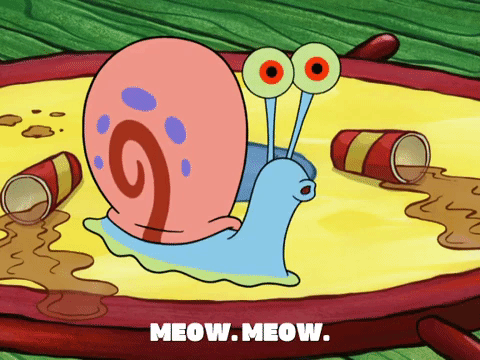 season 8 episode 22 GIF by SpongeBob SquarePants