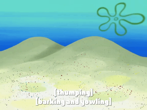 season 6 pet or pets GIF by SpongeBob SquarePants
