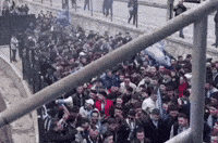 Fans Stadium GIF