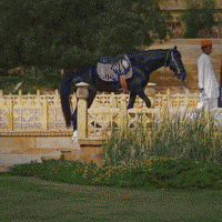 Breakfast Wait GIF by Suryagarh Collection