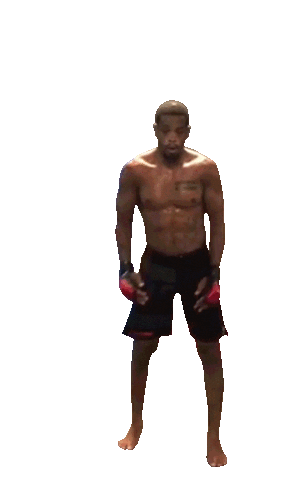 blackflip Sticker by Alan Nuguette