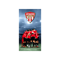 Artilleros Sticker by stock4less