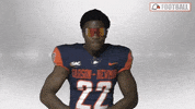 Cnfb GIF by Carson-Newman Athletics