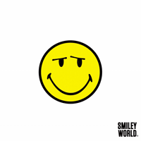 Perfection Ok GIF by Smiley