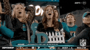 National Football League GIF by NFL