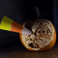 Stop Motion Art GIF by sophiaqin