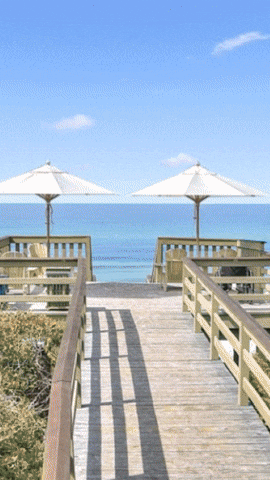 Lal Maggies GIF by The Magdalen House