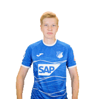 Fussball Sticker by TSG Hoffenheim