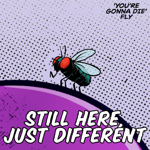 Youre Gonna Die Still Here GIF by VeeFriends