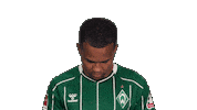 Werder Bremen Sticker by Bundesliga