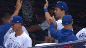 Celebrate Blue Jays GIF by Toronto Blue Jays