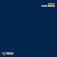 Baseball GIF by WVU Tech Golden Bears