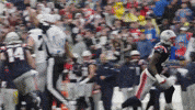 Nfl Football Celebration GIF by New England Patriots