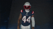 Football Yell GIF by New England Patriots
