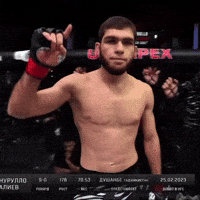 Ufc Eagle GIF