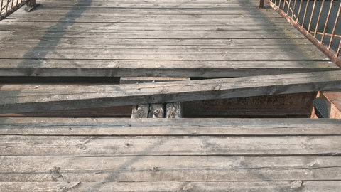 e-Kazan giphyupload GIF