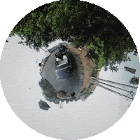 Shallipopi Sticker by Rema