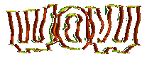 Art Wow Sticker