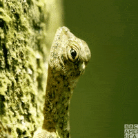 Tired Watch GIF by BBC America