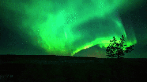 vimeo GIF