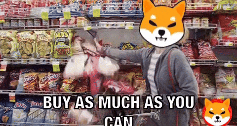 Shib Coin GIF by SHIB MEMES