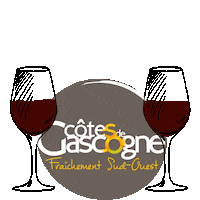 vins_cotesdegascogne wine vin apero tchin Sticker